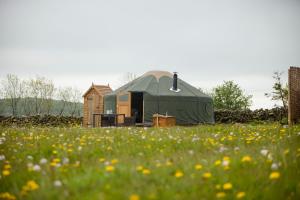 una gran tienda verde en un campo de flores en Secret Cloud House Holidays Luxury Yurts with Hot Tubs, en Cauldon