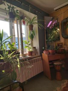 Fotografie z fotogalerie ubytování Looming Hostel v destinaci Tartu