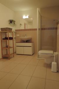 a bathroom with a toilet and a sink at Ferienwohnung Holzmaden Am Platz in Holzmaden