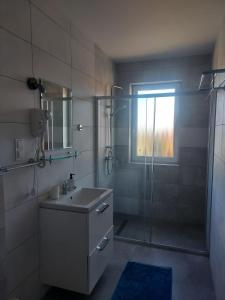 uma casa de banho com um chuveiro, um lavatório e um espelho. em Siedlisko na Zaciszu Gościniec em Kąty Rybackie