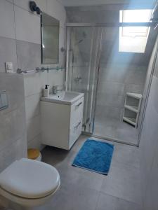 a bathroom with a shower and a toilet and a sink at Siedlisko na Zaciszu Gościniec in Kąty Rybackie