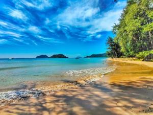 TK Beach Resort Koh Mak في كو ماك: شاطئ به أشجار والمحيط في يوم غائم