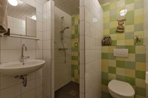 a bathroom with a sink and a toilet at Doornvlak - dicht bij strand en duinen! in Castricum