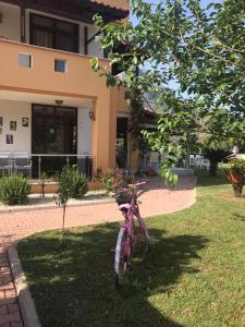 Radfahren an der Unterkunft Ada Adrasan Hotel oder in der Nähe