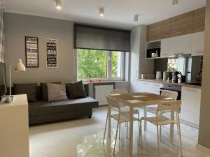 Kuchyňa alebo kuchynka v ubytovaní Apartament AMSTERDAM