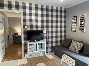 Televízia a/alebo spoločenská miestnosť v ubytovaní Apartament AMSTERDAM