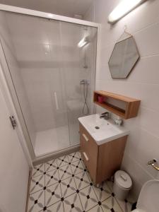 La salle de bains est pourvue d'une douche, d'un lavabo et de toilettes. dans l'établissement Appartement Duplex très lumineux en centre ville, à Janzé