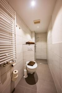 a white bathroom with a toilet and a shower at Gästehaus Holzer Kreuz- Vergissmeinnicht in Fröhnd