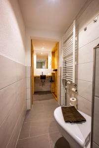 a bathroom with a toilet and a sink at Gästehaus Holzer Kreuz- Vergissmeinnicht in Fröhnd