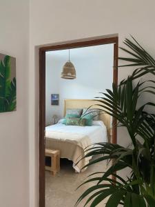 1 dormitorio con 1 cama y una maceta en Casa Doris en San Sebastián de la Gomera