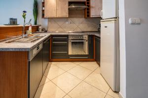 Kuchyňa alebo kuchynka v ubytovaní ELITE CENTER APARTMAN