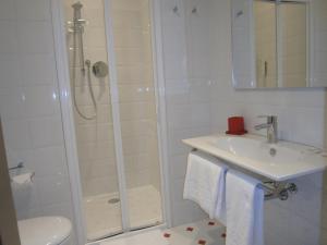 un bagno con doccia, lavandino e WC di Albergo Visconti a Cremona