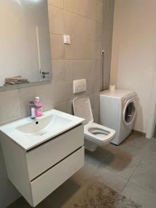 La salle de bains est pourvue d'un lavabo, de toilettes et d'un lave-linge. dans l'établissement Apartament Ion Heliade, à Târgu-Mureş