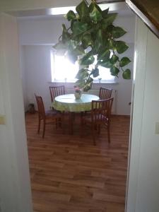 ein Esszimmer mit einem Tisch und einer Topfpflanze in der Unterkunft Apartment 4 Langelsheim Harz in Langelsheim