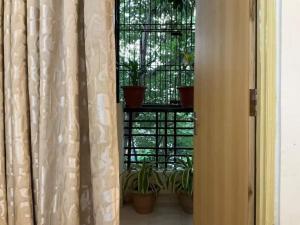 um quarto com uma janela com vasos de plantas em R.H.S VILLA em Varanasi