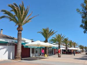 プエルト・デ・サグントにあるFriendly home Bella casaの椰子並木道