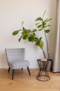 uma cadeira e uma planta sentados ao lado de uma mesa em La Vacanza Ortigia em Siracusa