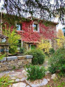 une maison avec du lierre rouge sur son côté dans l'établissement Le Priolat des Anges aux portes des gorges du Verdon, à Trigance