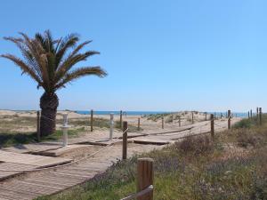 プエルト・デ・サグントにあるFriendly home Bella casaの遊歩道のあるビーチのヤシの木