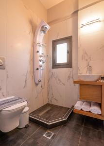 La salle de bains est pourvue d'une douche, de toilettes et d'un lavabo. dans l'établissement Alexandros Luxury House, à Falasarna