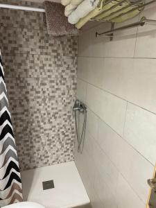 W łazience znajduje się prysznic i toaleta. w obiekcie Atico el Wiro w mieście Puerto