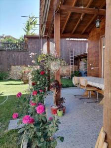 Billede fra billedgalleriet på Lucky 2 i Pavel Banya