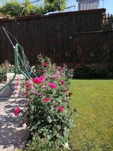 Billede fra billedgalleriet på Lucky 2 i Pavel Banya