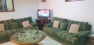 a living room with two green couches and a television at Le Palace Clinique Jasmin Carthgene Pasteur in Tunis