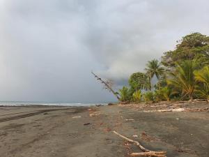 Pantai di atau di dekat apartemen