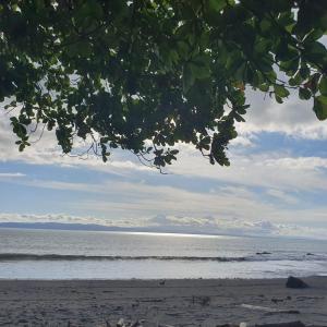 Pantai di atau di dekat apartemen