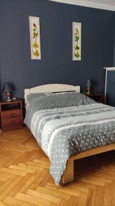 a bed in a bedroom with blue walls and a wooden floor at Dom Sula in Ustrzyki Dolne