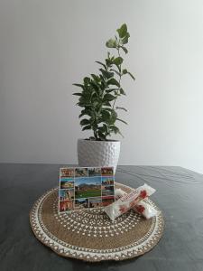 uma mesa com um prato com uma planta e um livro em Locus Amoenus Apartment a pochi passi dagli Scavi em Pompeia