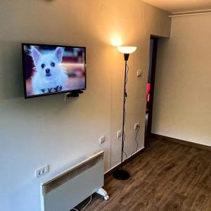 einen Fernseher an der Wand mit einem weißen Hund drauf. in der Unterkunft Kosmajski raj in Nemenikuće