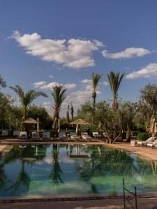 ein großer Pool mit Palmen im Hintergrund in der Unterkunft CASA ABRACADABRA in Marrakesch