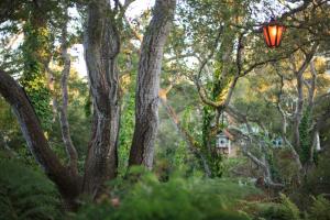Zahrada ubytování Old Monterey Inn