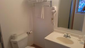 Un baño con lavabo, inodoro y espejo. en Westwood Motel, en West Yellowstone