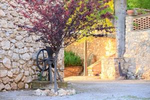 a small tree in front of a stone wall at Cortijo el Chorreadero en Parque Natural Sierra de Cazorla in Los Rosales +8 photos