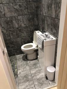 a bathroom with a toilet and a sink at The Little Hexthorpe house in Doncaster