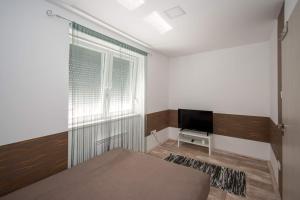 艾爾德貝涅的住宿－JóKissHely Vendégház，一间卧室设有一张床、一台电视和一个窗口。