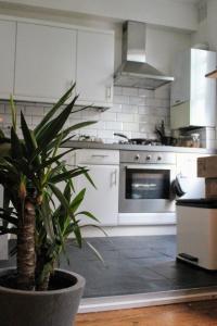 a kitchen with a potted plant in front of a stove at Traditional Victorian 2 bed in cobbled street + mod cons - Full home in London