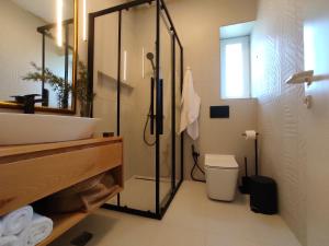 a bathroom with a shower and a toilet and a sink at Orion - Charming 1-bedroom condo at convenient location. in Melissátika
