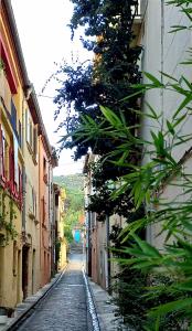 Fotografia z galérie ubytovania Maison le Sept de Céret v destinácii Céret