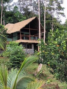 a building with a straw roof in a forest at Cascadas Corcovado - luxury villa in Charcos