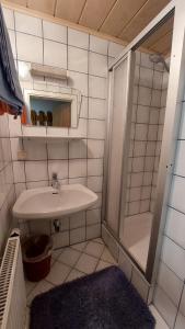 W łazience znajduje się umywalka, prysznic i lustro. w obiekcie Spulhof w mieście Abtenau