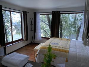 1 dormitorio con 1 cama y ventanas grandes en BORDEMAIPO LODGE, en San José de Maipo