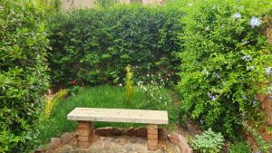 ławka siedząca na środku ogrodu w obiekcie Casa vacanze Isola Rossa w mieście Isola Rossa