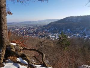 a tree on top of a hill with a city at Alte Feuerwehr Bleicherode in Bleicherode