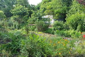 Zahrada ubytování L'Ermitage au sein d'un jardin forêt près de l'océan