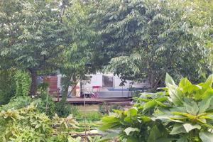 Zahrada ubytování L'Ermitage au sein d'un jardin forêt près de l'océan