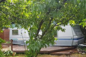 Zahrada ubytování L'Ermitage au sein d'un jardin forêt près de l'océan